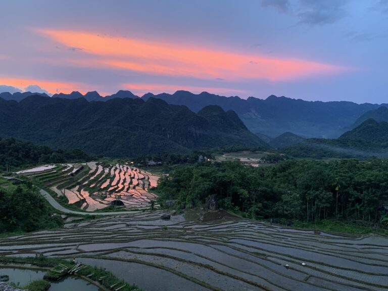 Landscape1