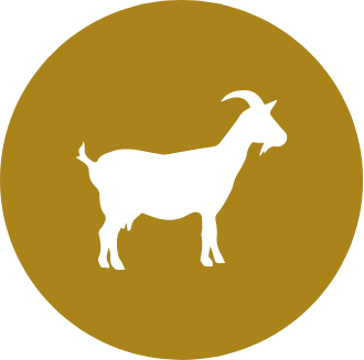 Chèvre