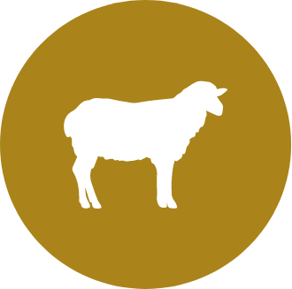 Mouton