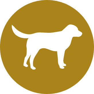 Pets